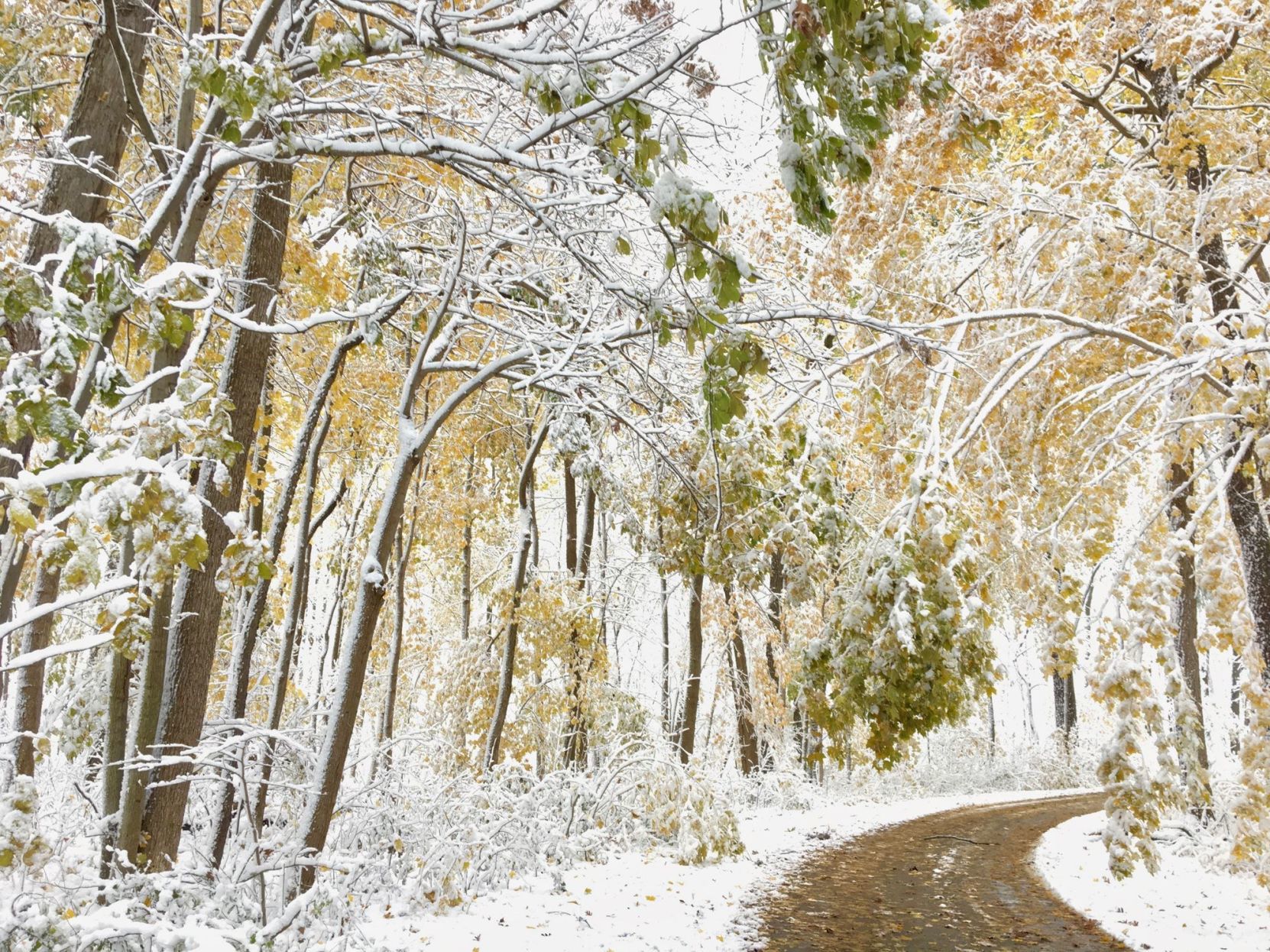 Season's first snowfall